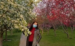 诡秘之主第一季在线观看免费